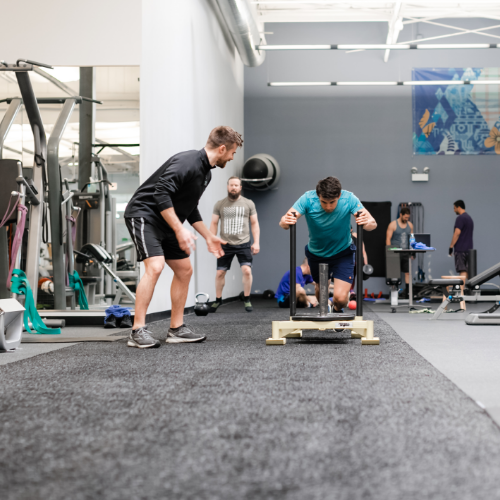 workout-with-training-the-fitness-institute-vernon-hills-chicago-il